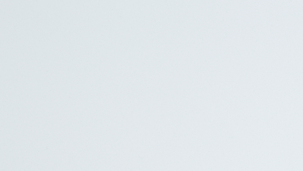 Arctic White