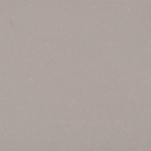 4004-Raw Concrete