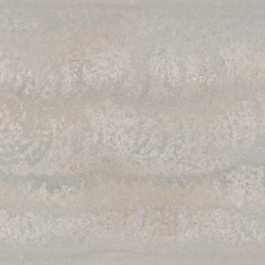 4043-Primordia