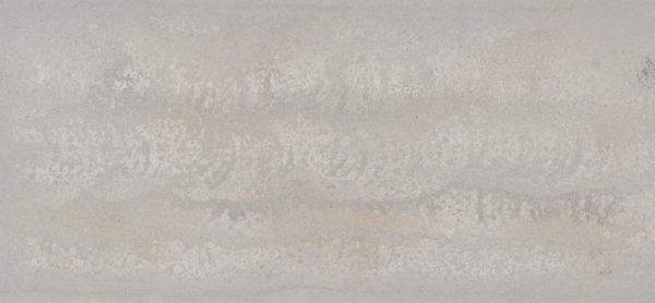 4043-Primordia