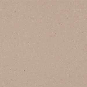 4230-Shitake