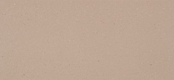 4230-Shitake