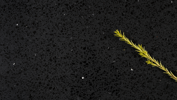 Silver Star Black - Image 2