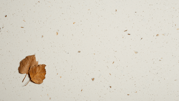 Spring White - Image 2